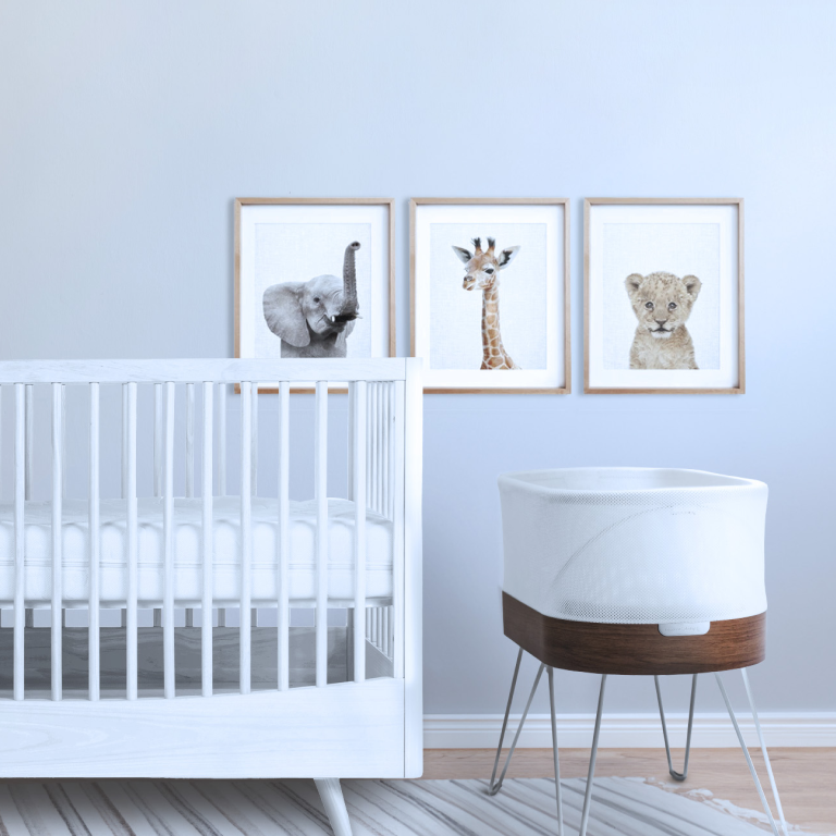 Smart Baby Bassinet Sleeper